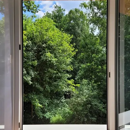 Apartament Parkowy Z Miejscem Parkingowym * Katowice