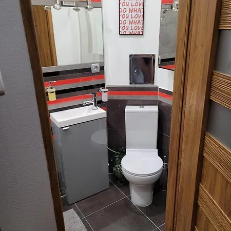 Apartament Parkowy Z Miejscem Parkingowym Katowice